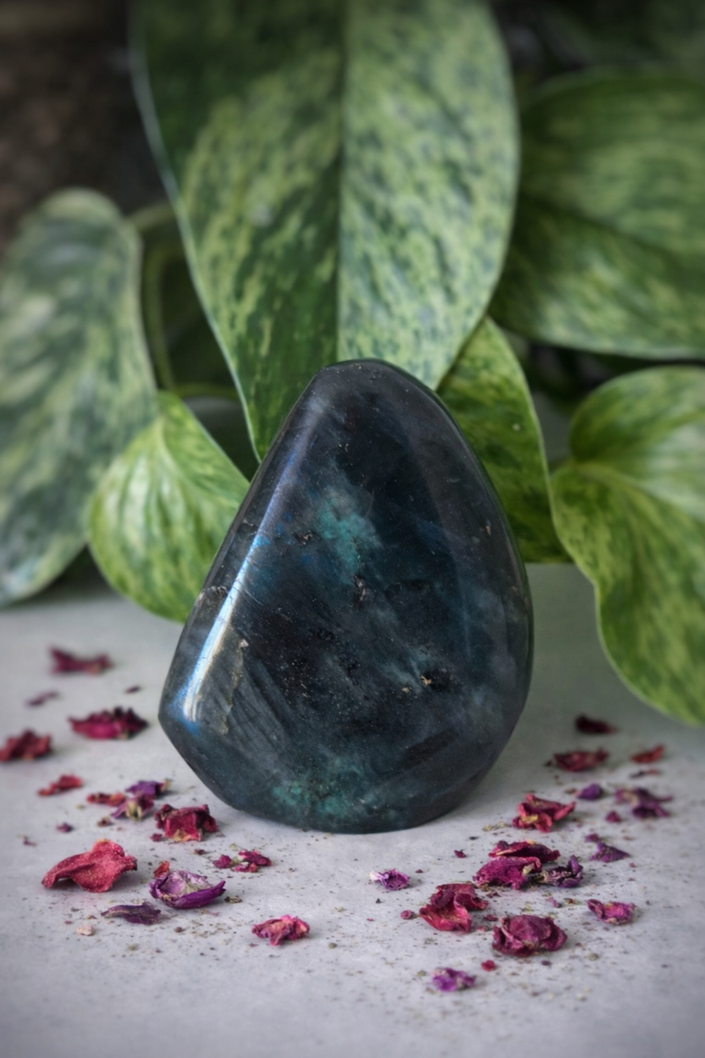 Labradorite bleue 240g
